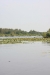 NIEUWKOOP 09-2008 195.JPG